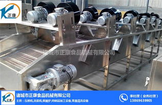 全自動(dòng)葡萄干風(fēng)干機(jī) 葡萄干風(fēng)干機(jī) 正康食品機(jī)械